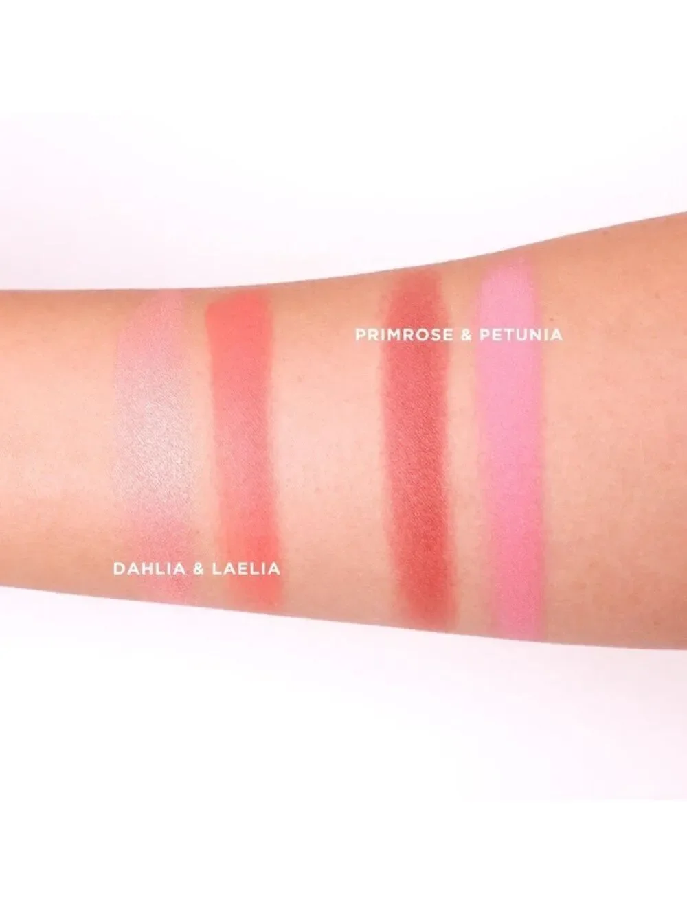 Araceli Las Flores Blushes in Dahlia & Laclia